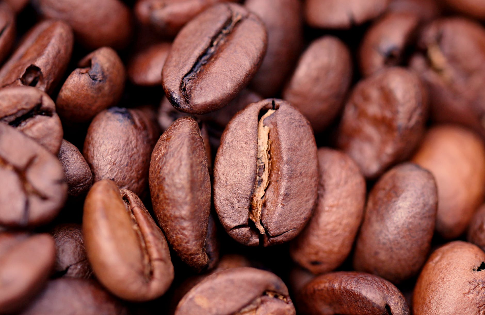 Belum Tahu Caranya? Pahami Langkah – Langkah Menggunakan Mesin Espresso Astoria Core